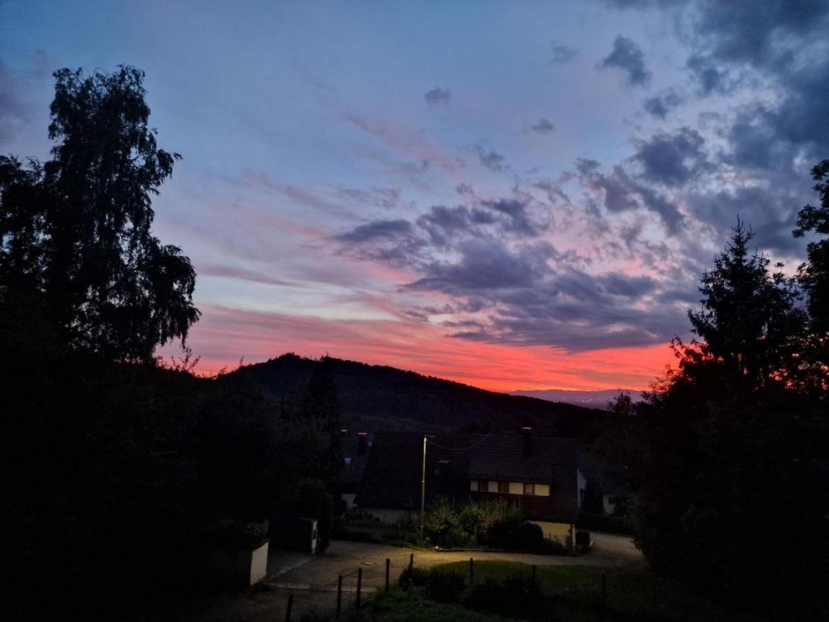Bellavista Apartment Badenweiler Luaran gambar